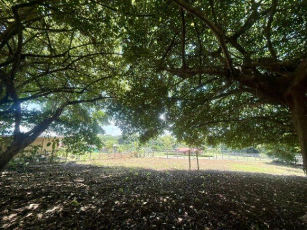Venta de Lote en Orotina, Alajuela. RAH 26-87 en Coyolar, Orotina, Alajuela — ₡ 50 000 000