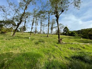 Venta de Lote, Heredia, Varablanca