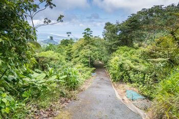 SE VENDE OPORTUNIDAD DE DESARROLLO CON VISTAS PANORAMICAS AL MAR EN OSA en Puerto Cortés, Osa, Puntarenas — $1,190,000 - Foto 5 de 19
