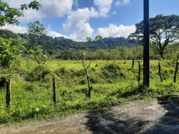 SE VENDE ESPECTACULAR FINCA EN QUEPOS, PUNTARENAS.  in Quepos, Puntarenas — $250,000 - Photo 4 of 19