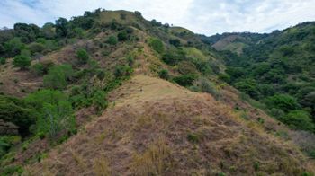 Hermosa propiedad de 50 acres adyacente a una piscina natural. in Desmonte, San Mateo, Alajuela — $600,000 - Photo 4 of 20