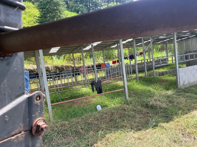 VENTA - FINCAS DE 49 HA EN POAS - FINANCIAMIENTO DIRECTO CON EL 30% DE PRIMA in San Pedro, Poás, Alajuela — $2,400,000