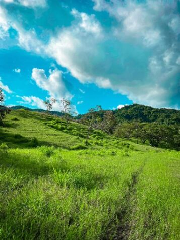 SE VENDE MEGA Y ESPECTACULAR FINCA EN PAQUERA, PUNTARENAS.  en Paquera, Puntarenas — $7,800,000