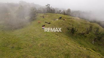 Venta de Terreno para Desarrollo en San Ramón | 56 Ha en Ángeles, San Ramón, Alajuela — 564 000 000 ₡ - Foto 3 de 22
