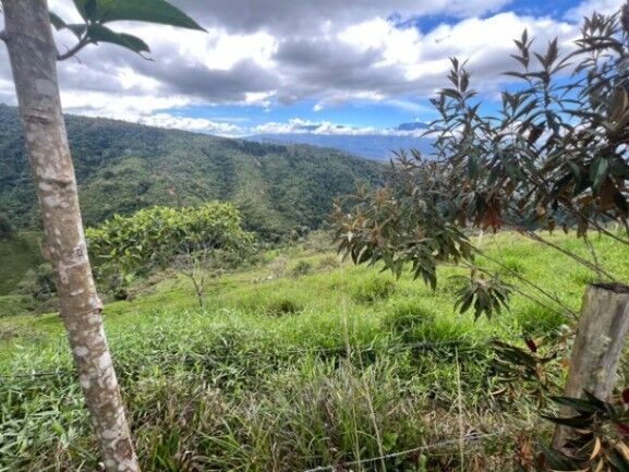 Venta de Extenso Lote de Terreno en La Suiza de Turrialba / Mls. 26-712 OFC JB en La Suiza, Turrialba, Cartago — $170,000