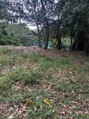 Un viaje por la naturaleza... Propiedades El Rodeonatu in Colón, Mora, San José — $159,000 - Photo 2 of 2