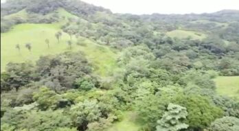LOTE EN VENTA, PUNTARENAS. Cod#23-1336 en San Rafael, Esparza, Puntarenas — 23 000 000 ₡ - Foto 5 de 5
