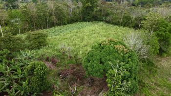 Venta de Lote Plano, a 20 min del centro de La Fortuna en La Fortuna, San Carlos, Alajuela — 46 000 000 ₡ - Foto 3 de 13