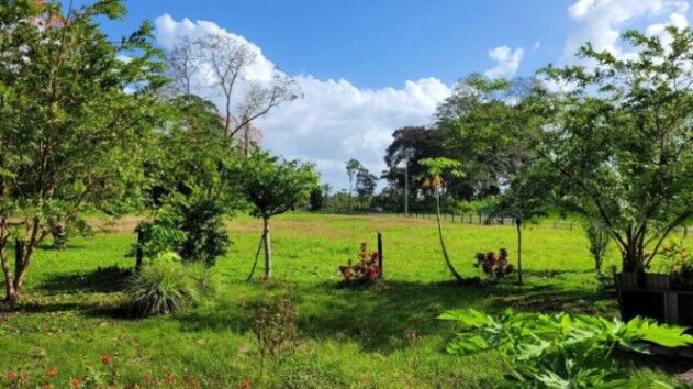 Venta de Lote en Matama de Limón. RAH 26-1191 in Matama, Limón — $2,000,000