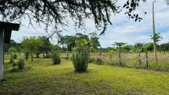 🏡 PROPIEDAD EN VENTA – VILLA FRANCA en Duacarí, Guácimo, Limón — 35 000 000 ₡ - Foto 5 de 10