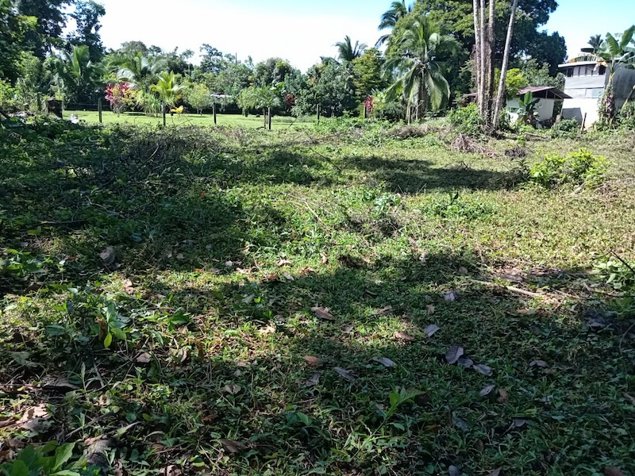 Lote En Venta En Guácimo, Limón in Guácimo, Limón — ₡ 9 328 975