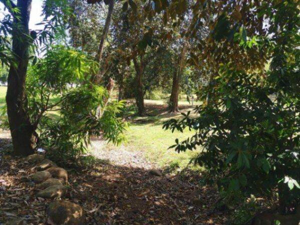 Venta de Quinta en San Mateo de Alajuela. RAH 25-1567 en San Mateo, Alajuela — ₡ 75 000 000