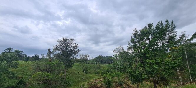 Venta de Lote en Sarapiquí, Heredia. RAH 25-1699 en La Virgen, Sarapiquí, Heredia — ₡ 160 000 000