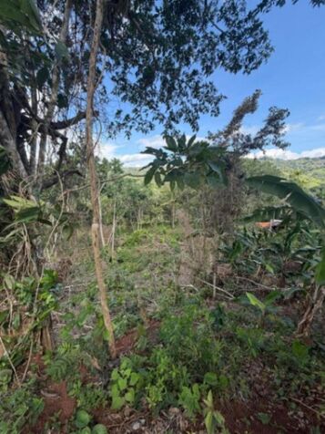 Venta | Lote de 5.237 m² con excelente vista en zona rural #27-91 GS en Daniel Flores, Pérez Zeledón, San José — $67,000