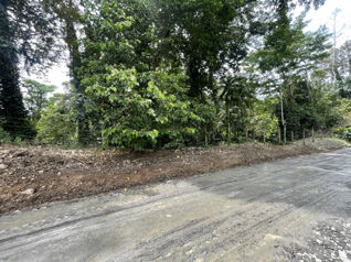 SE VENDE LINDO TERRENO CON RIO COMADRE, CAHUITA, LIMON, COSTA RICA en Cahuita, Talamanca, Limón — $163,850 - Foto 4 de 27
