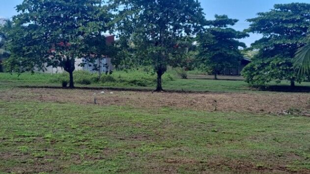 Venta de 2 Lotes en Osa en Puerto Cortés, Osa, Puntarenas — ₡ 9 000 000