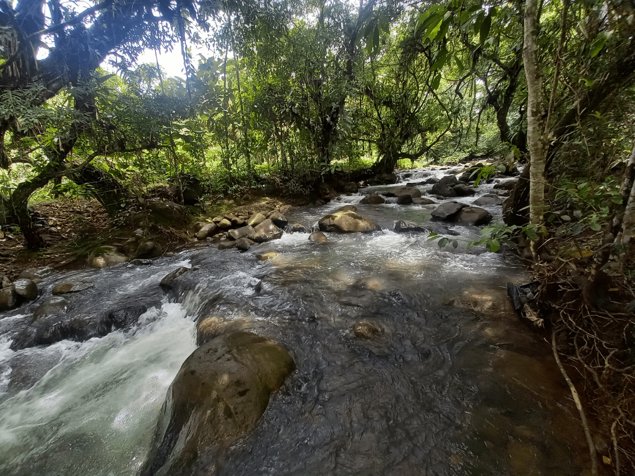 Finca con Casa Cabaña en Paraíso de Cajón, Pérez Zeledón en Cajón, Pérez Zeledón, San José — $350,000