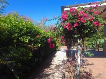Venta de Casa + APTO en Santa Cruz de Guanacaste. RAH 26-1549 en Santa Cruz, Guanacaste — $270,000 - Foto 5 de 17