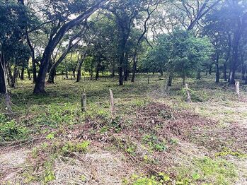 Land For Sale Nicoya, Nicoya, Guanacaste