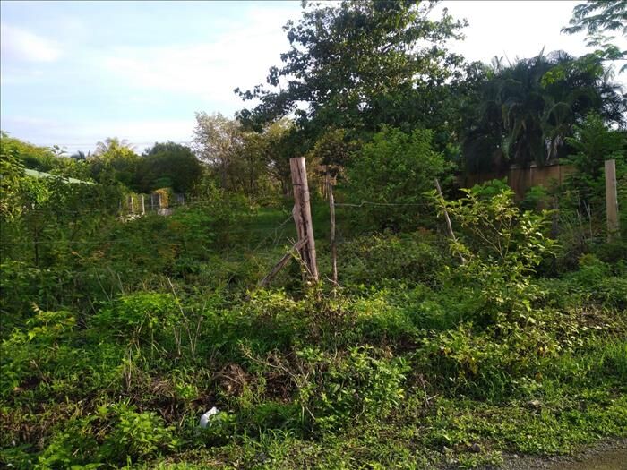 Lote en Lagunilla  en Santa Cruz, Guanacaste — ₡ 18 000 000