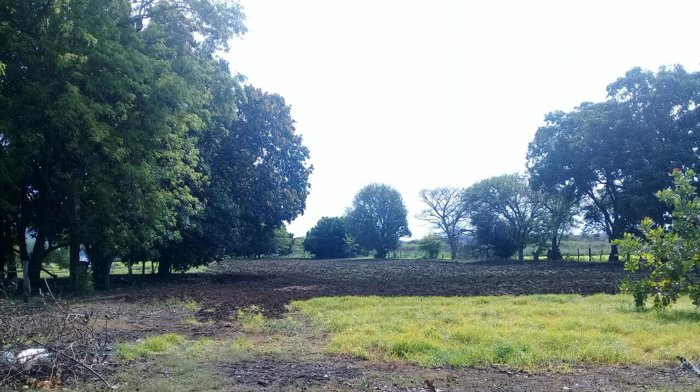 VENTA DE LOTE ALTA DENSIDAD, GUANACASTE, CARRILLO, PALMIRA in Palmira, Carrillo, Guanacaste — $544,135 - Photo 2 of 5
