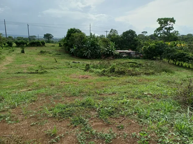 VENTA DE LOTE USO DE SUELO MIXTO, HEREDIA, SARAPIQUI, HORQUETAS in Puerto Viejo, Sarapiquí, Heredia — ₡ 45 000 000