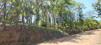 10 000 m2 residential and commercial just 500 m to Marbella Beach en Cuajiniquil, Santa Cruz, Guanacaste — $350,000 - Foto 4 de 12
