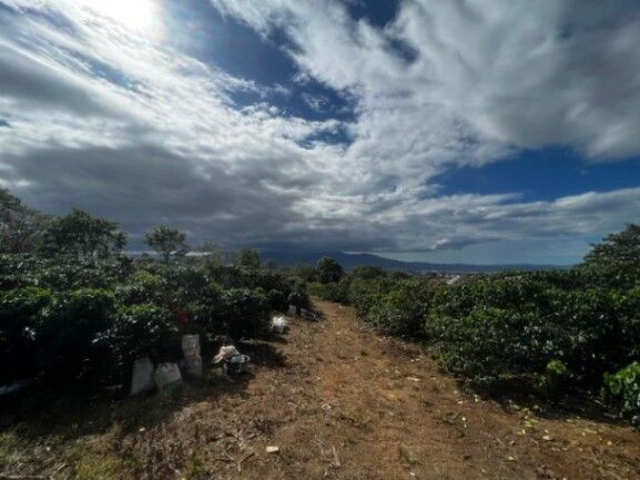 Se vende finca con 4.7 hectáreas en Desamparados Alajuela 23-1784 in Desamparados, Alajuela — $2,000,000