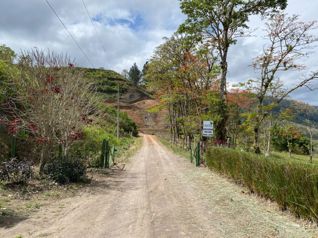 Venta de terreno en Cachí, Lago Alto