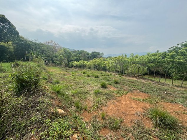 Lote a menos de 5 minutos de la 27 en el campo de Atenas in Atenas, Alajuela — $70,000 - Photo 3 of 7