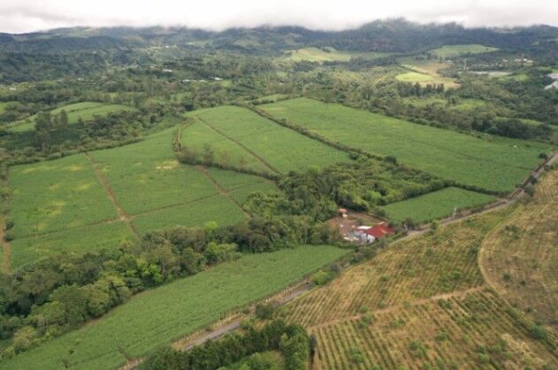 Finca Agricola (Aprovechable varios usos) 60ha en Sarchí Norte, Sarchí, Alajuela — $2,999,000