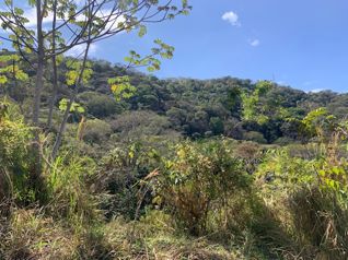 465,768m2 (116m2) con permisos para urbanizar en Atenas, Alajuela — $1,200,000 - Foto 5 de 9