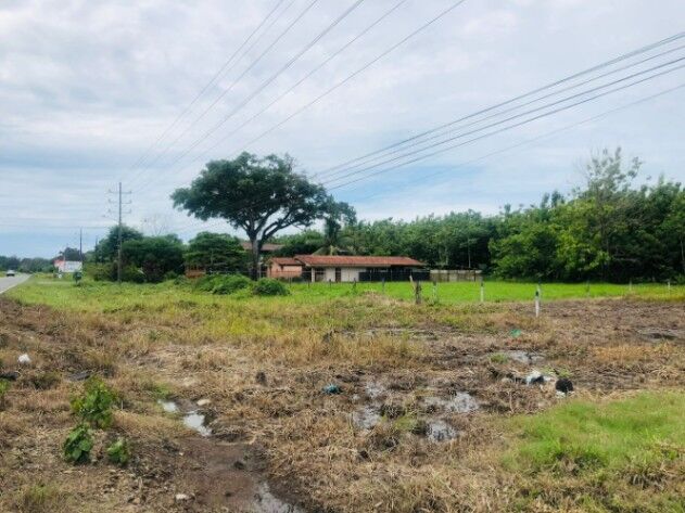 Lote uso de suelo mixto residencial o comercial en Palmar, Osa, Puntarenas — ₡ 15 361 800