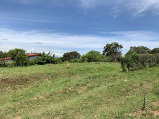 VENTA TERRENOS DE DESARROLLO O RESIDENCIAL, HEREDIA, BUENA VISTA en San Pablo, Barva, Heredia — $155,000 - Foto 4 de 15