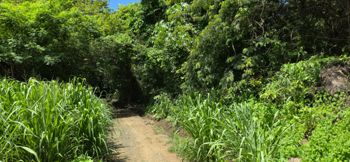 Lote en Venta, Playa Hermosa, Guanacaste. Playa muy Cerca 5PDN9280176 in Sardinal, Carrillo, Guanacaste — $1,007,000 - Photo 5 of 20