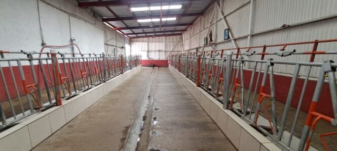 FINCA LECHERA DE 35 HA EN CAPELLADES CON GANADO en Capellades, Alvarado, Cartago — ₡ 1 450 000 000