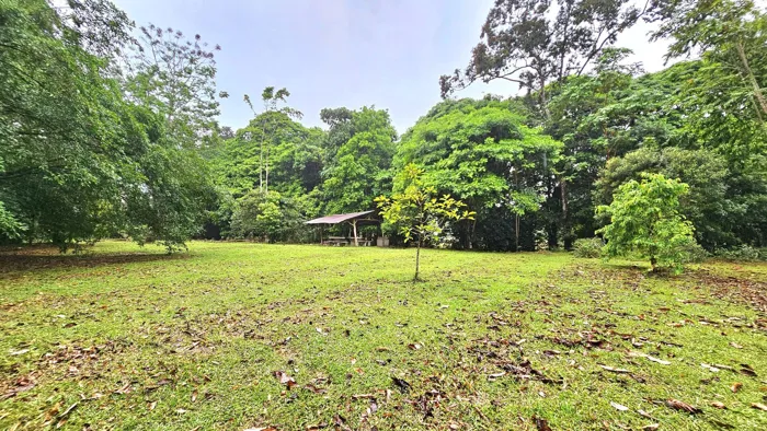 Venta de Lote en Guápiles, Limón. en Guápiles, Pococí, Limón — ₡ 58 000 000