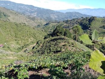Venta de Finca en El Guarco de Cartago. RAH 26-1161 en San Isidro, El Guarco, Cartago — 120 000 000 ₡ - Foto 5 de 18