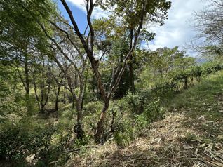 Lote de 5632m2 en San Pablo de Turrubares en San Pablo, Turrubares, San José — 25 000 000 ₡ - Foto 4 de 10