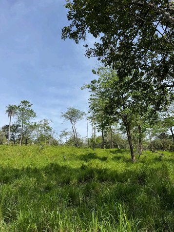 Finca Chineo frente a calle pública en Eco Lagarto en Santa Cruz, Guanacaste — $99,000 - Foto 3 de 16