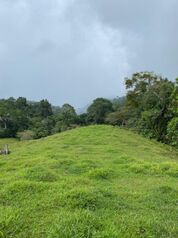 Farm For Sale Pacuarito, Siquirres, Limón