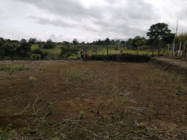 Lote en Mata de Plátano en Mata de Plátano, Goicoechea, San José — ₡ 72 000 000