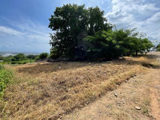 VENTA DE LOTE DE 600 M² | SAN MIGUEL DE BARRANCA, PUNTARENAS en Barranca, Puntarenas — $60,000 - Foto 4 de 8