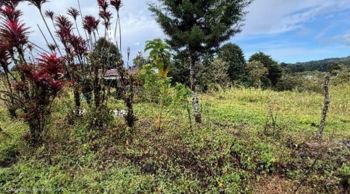 LOTE A LA VENTA EN SAN ISIDRO DE HEREDIA 7000 m² Uso Agroturístico en San José, San Isidro, Heredia — 162 000 000 ₡ - Foto 4 de 7