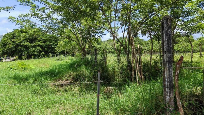 Venta de Terreno de Gran Extensión con Potencial de Desarrollo en Turrialba #27-226 GS in Chirripó, Turrialba, Cartago — $1,050,000