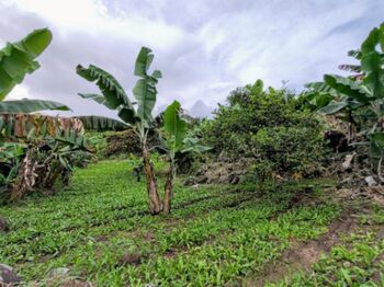 VENTA DE HERMOSA QUINTA EN aAENJAL, PARAISO DE CARTAGO en Santiago, Paraíso, Cartago — 65 000 000 ₡ - Foto 5 de 27