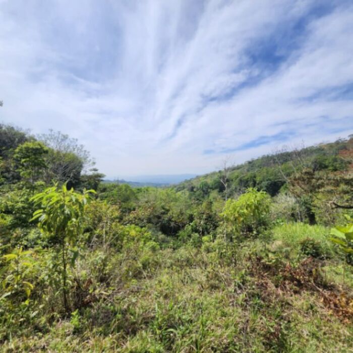 6.6 hectares con casa tipicia Quebradas, San Isidro del General, Perez Zeledon en San Isidro De El General, Pérez Zeledón, San José — $275,000