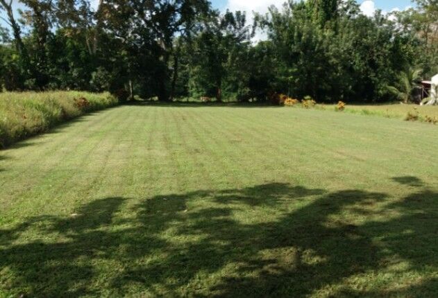Se vende lote en Los Angeles de La Fortuna. en La Fortuna, San Carlos, Alajuela — ₡ 25 000 000