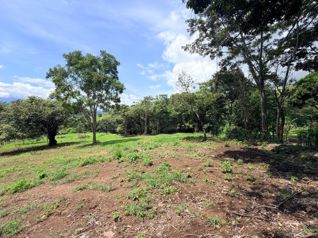 Hermosa Quinta en Residencial Villa Lapas Atenas en Escobal, Atenas, Alajuela — 120 000 000 ₡ - Foto 2 de 28