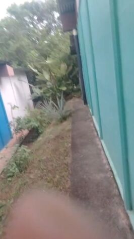SE VENDE PROPIEDAD CON CASA EN LOMAS DE PARRITA.  in Parrita, Puntarenas — ₡ 14 000 000